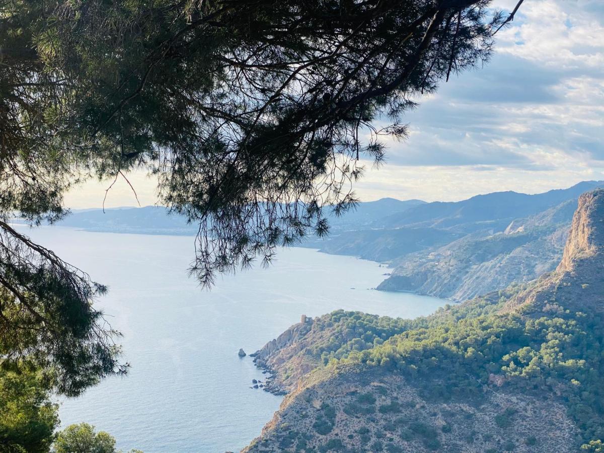 Jardines De Adnania En Marina Del Este Con Vistas Al Mar La Herradura  Exterior foto